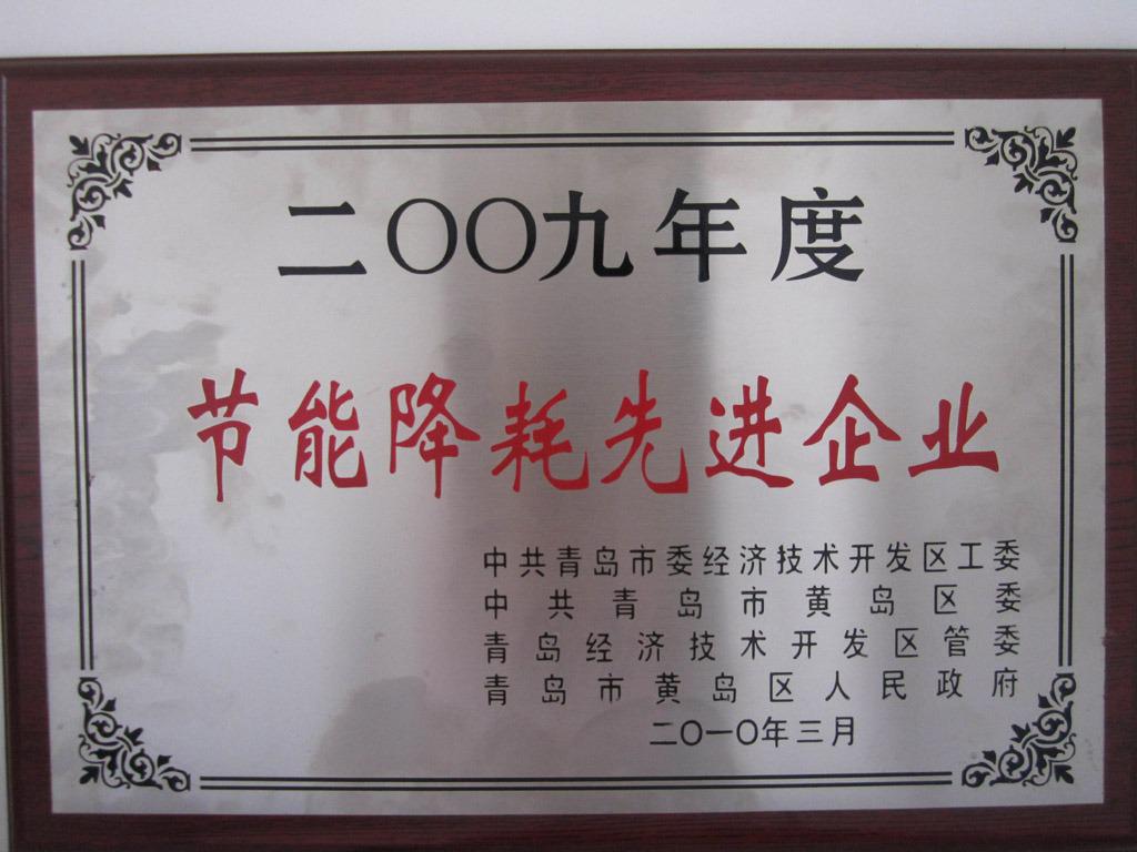 2009年节能降耗先进企业